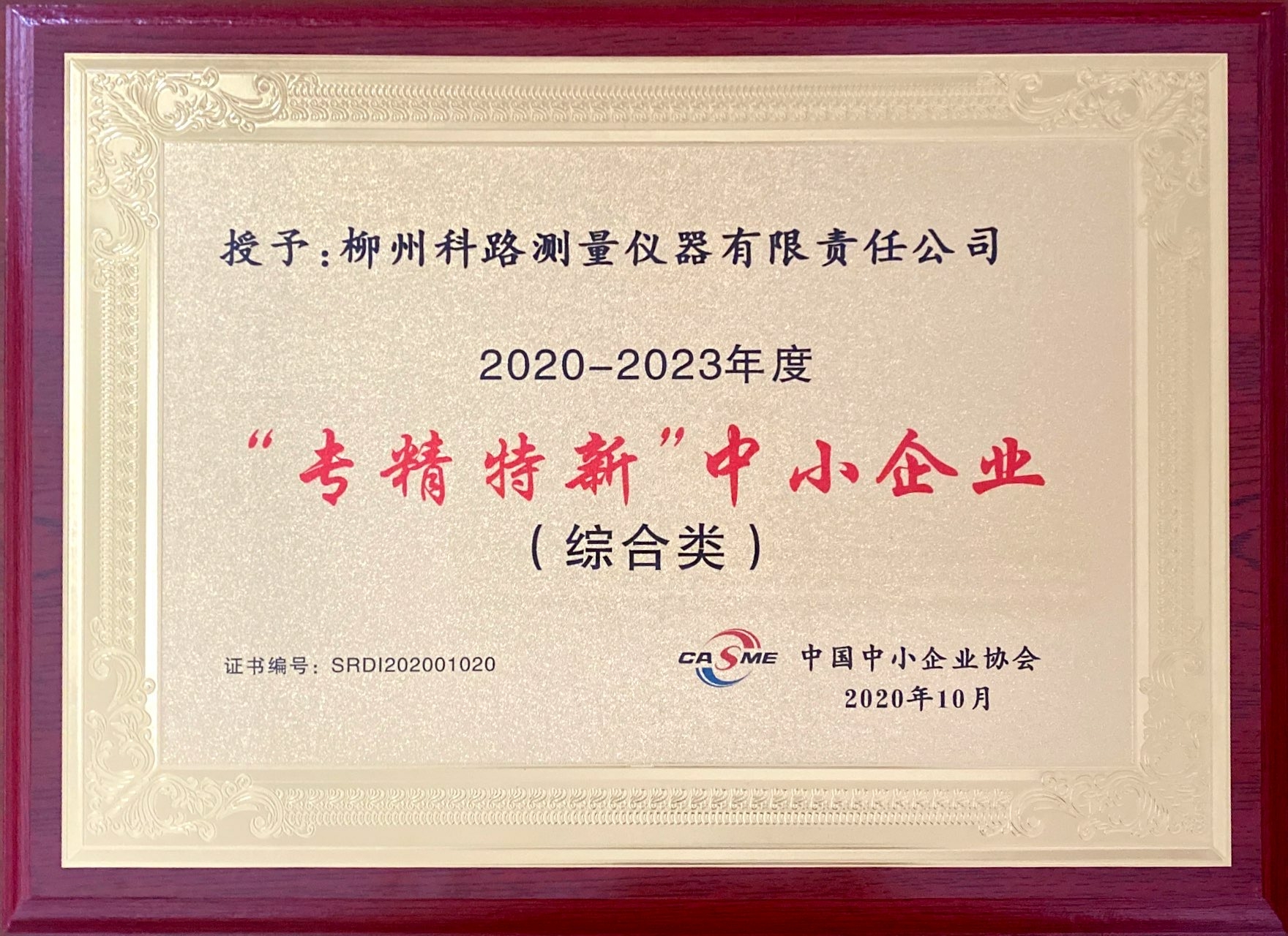 ”專精特新“中小企業(yè)認(rèn)定牌匾2020.10.jpg